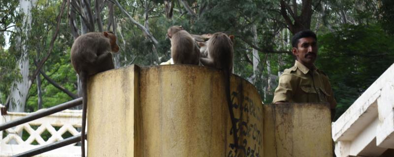 Photo : Purabi Deshpande / Research Matters