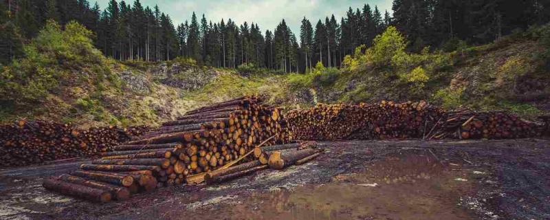 Researchers identify hotspots and coolspots of human activities threatening wildlife
