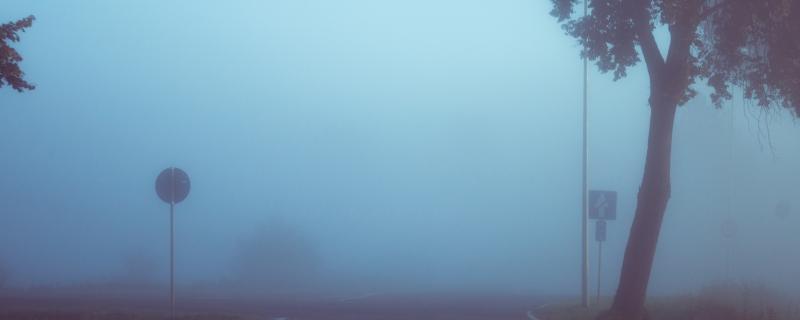 Looking through the fog