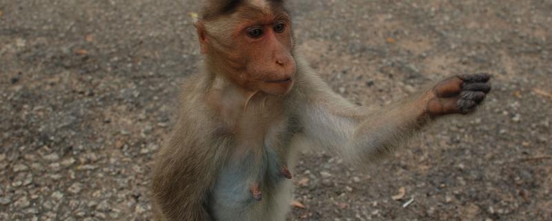 Photo : Shreejata Gupta