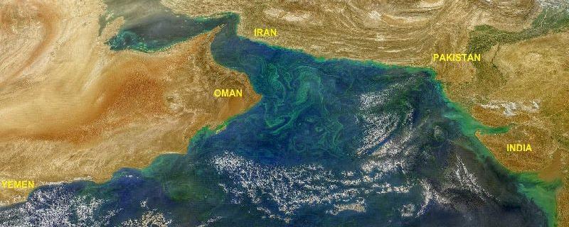 Snow meltdown in the Himalayas is causing sparkling algal blooms in the Arabian Sea
