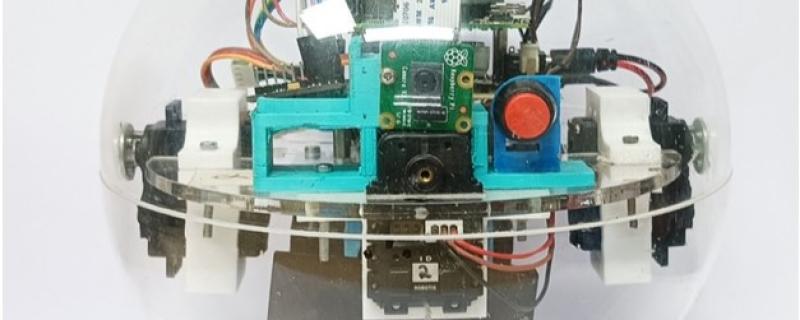 spherical robot