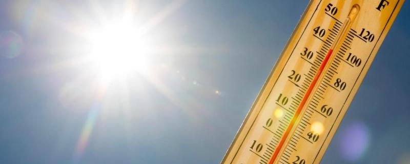 India's new heat wave prediction system could be our first line of defence against the scorching heat